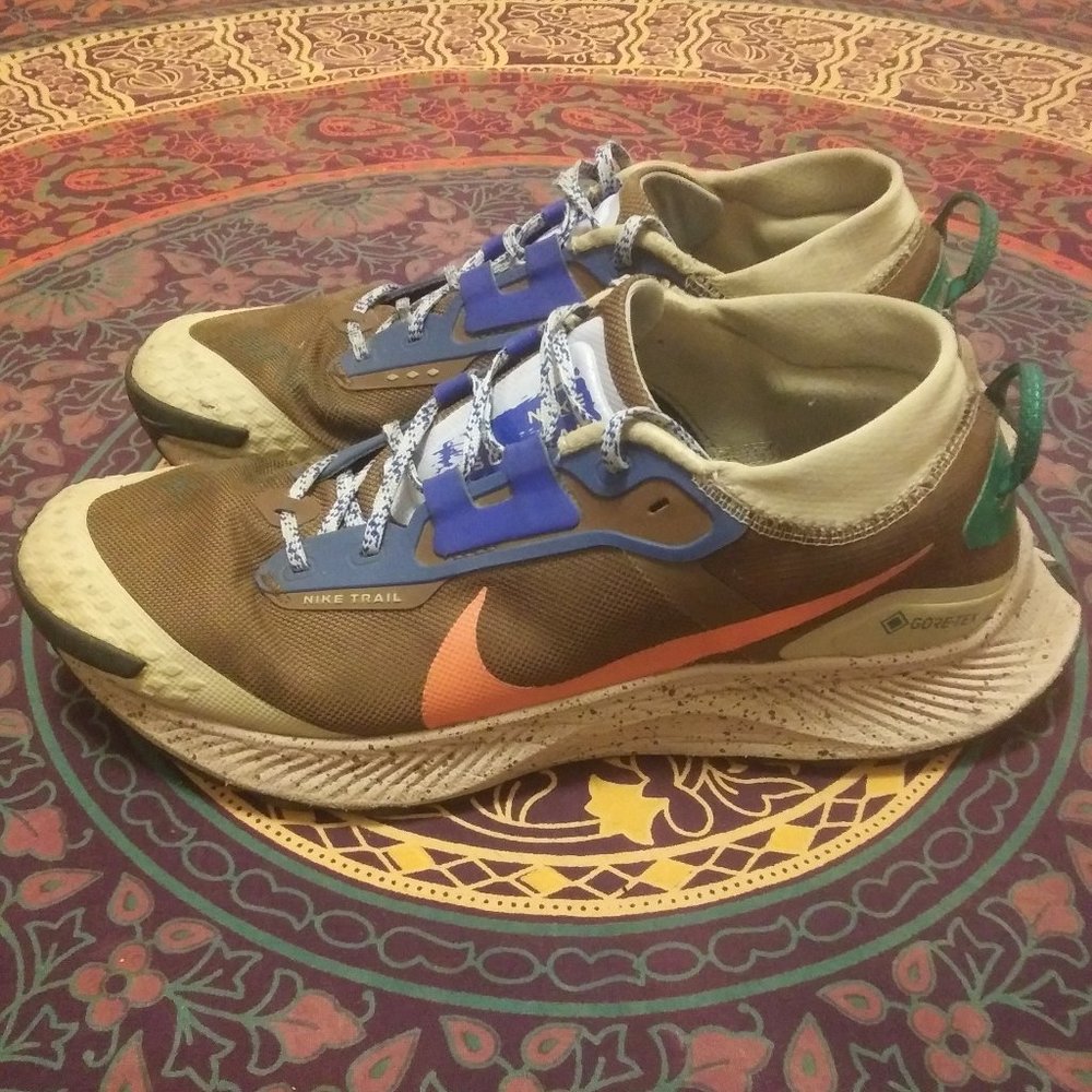 Nike Pegasus Trail mens 11 brown orange blue